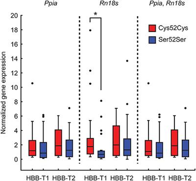 Regulatory Variation in Functionally Polymorphic Globin Genes of the Bank Vole: A Possible Role for Adaptation